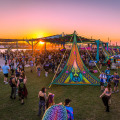 Your Ultimate Guide to Florida Concerts: Upcoming Events, News, Venues, and More