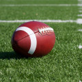 University of Florida Gators: The Ultimate Guide to Florida Sports